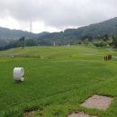 골프존카운티 안성H 이미지