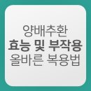 수환축산 | 양배추환 효능 부작용 올바른 복용법