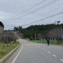 도내교