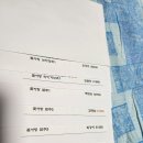 염주,보라창포,타이거넛츠 이미지