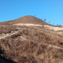 01-66 동구 이미지