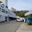 블루자동차정비 | 블루핸즈 점검 비용 얼마일까? 정비 필수 체크!!