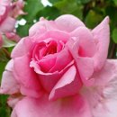 비엔베뉴 이미지