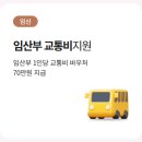 동천안농협 경제통합지원센터 | 서울시 "임산부 교통비(70만원)지원" 신청방법 및 자격 완벽가이드. 출산 축하합니다~