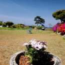 보헤미안펜션 이미지