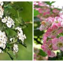 나무와숲한의원 이미지