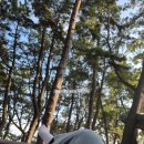 상화원 한국빌라 이미지