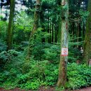 제주시크릿가든 이미지