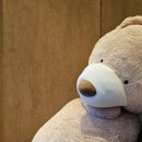 양산신-2010 이미지