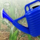 그라티아 이미지