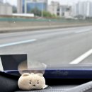 CSL-korea | 차 타고 DMZ 다녀왔어요