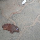 영중유치원 이미지
