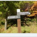 만항등산로입구 이미지