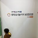 늘 푸른 나무 | [서울형키즈카페도장깨기] 1. 중랑실내놀이터 늘푸른공원점| 아기랑 가볼만한 곳,실내놀이터 추천