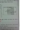 신장네프론구조와 헨렌고리 상행지상피세포의 물질이동 이미지