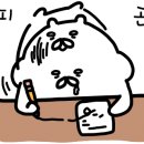 폰트스튜디오