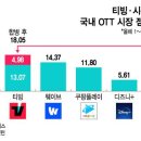 국내 OTT 점유율 순위.jpg 이미지