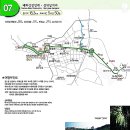 "십리대숲"이 선도하는 태화강변길; 해파랑길 7코스 trekking 이미지