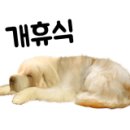 대자연세탁 이미지