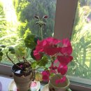 풍경이 머무는 하우스 이미지