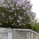 나루터가든 이미지