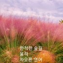 [시3편] 붉은 장미ㆍ만조ㆍ화음 / 최영숙 이미지