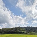 이반성면사무소 이미지