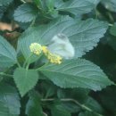 01-20 동구 이미지