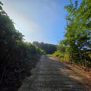 내촌마을회관 이미지