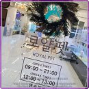 로얄펫 강아지분양 고양이분양 전주본점 | 전주 로얄펫 강아지 및 고양이 분양 경험 리뷰