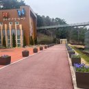 새봄이야 이미지