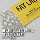 메디핸즈 | 리뷰ㅣ종아리붓기 관리 후기, 메디핸즈 지방연구소 셀룰라이트 패치