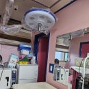 스머프동물병원 이미지