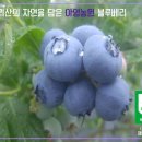 밀알농원 이미지