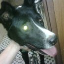 경기마트 앞 이미지