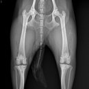 온양동물병원 이미지