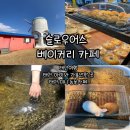 태안 베이커리 카페 슬로우어스 방문 후기 태안 아이와가볼만한 곳 놀거리 볼거리 빵지순례 다녀왔어요