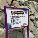 비원 | [해남 비원] 식물원 카페 후기 - 전남 해남 가볼만한 곳, 조용한 힐링 수목원 추천