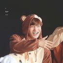곰도리