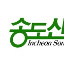 우리나라 태권도 이미지