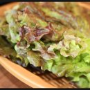 부천 맛집 맛도좋고 푸짐하니깐 기분좋은 먹방이 가능한 채영진의 명품생고기무한리필 소사직영점