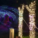 유구마곡사로 이미지