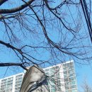 강남한방공인중개사사무소 이미지