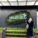 귤빛상회 | 우당탕탕 제주