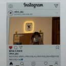 브이다이브 | 제주도체험다이빙 추천 브이다이브 서귀포 스쿠버다이빙 초보 후기