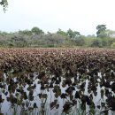 복흥농장 이미지