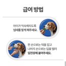 케어덴탈 | 강아지치석제거 펫헴프 덴탈케어 나노필름 후기