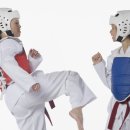 올바른 태권도 이미지