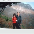 서명진광양한의원 이미지