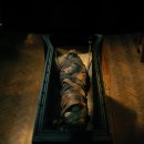 (주)레이너코리아 이미지